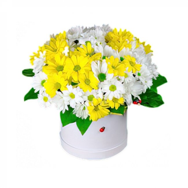 Шляпная коробка Эмилия Шляпная коробка Эмилия