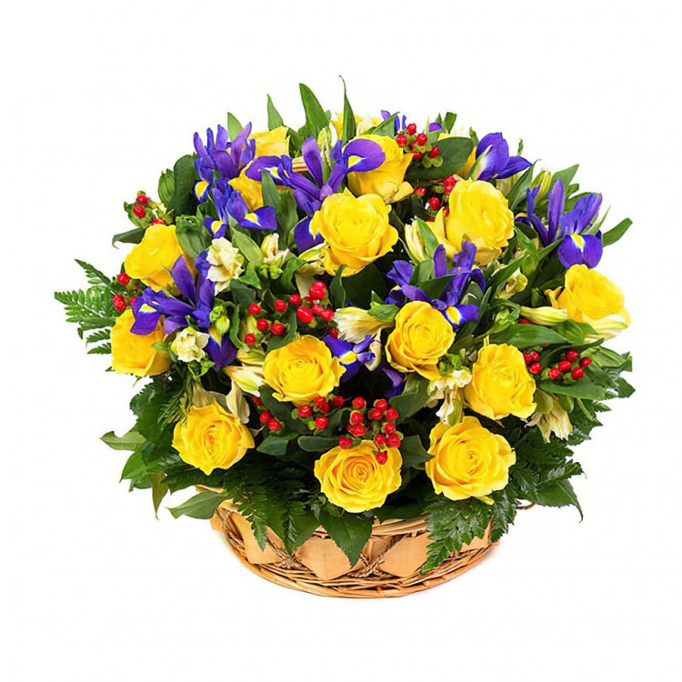 Р¦РІРµС‚С‹ Flor World