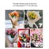 Букет цветов "Из белых тюльпанов"